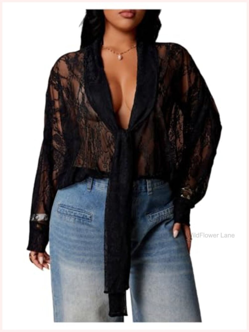Mesh Lace Long Sleeve V-Neck Tie Front Blouse